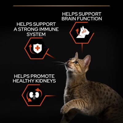 PURINA PRO PLAN Vitalfunktionen für Erwachsene – Lachs