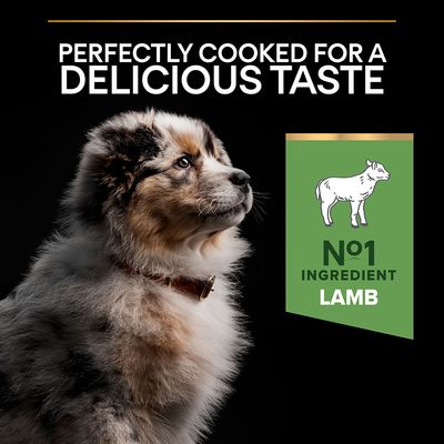 PURINA PRO PLAN Medium Puppy Lamb & Rice Sensitive Digestive Digestion