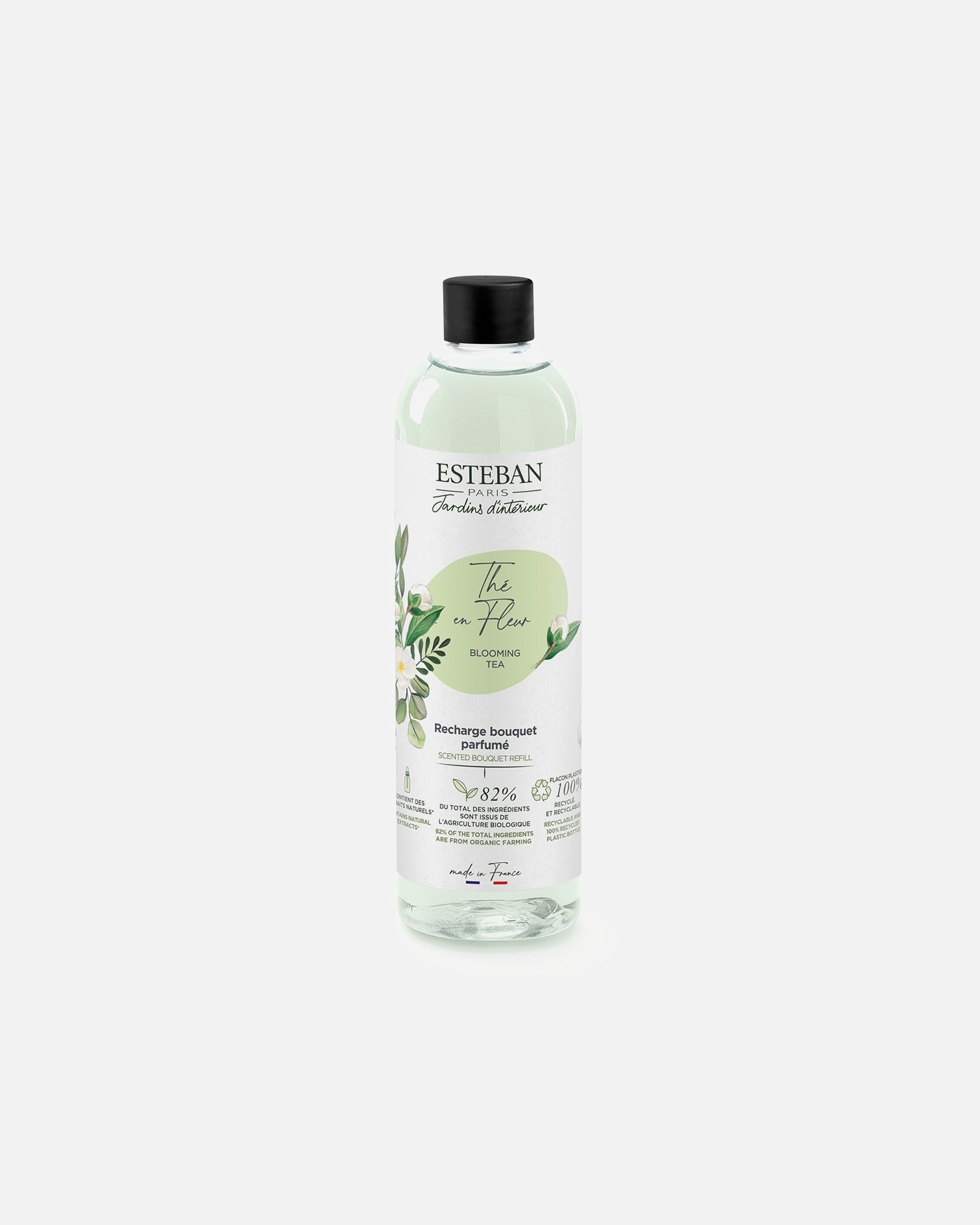 Esteban Thé en fleur