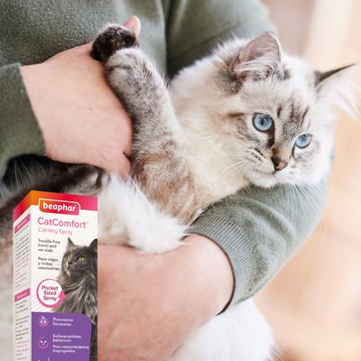 Beaphar CatComfort® uspokajający spray dla kotów