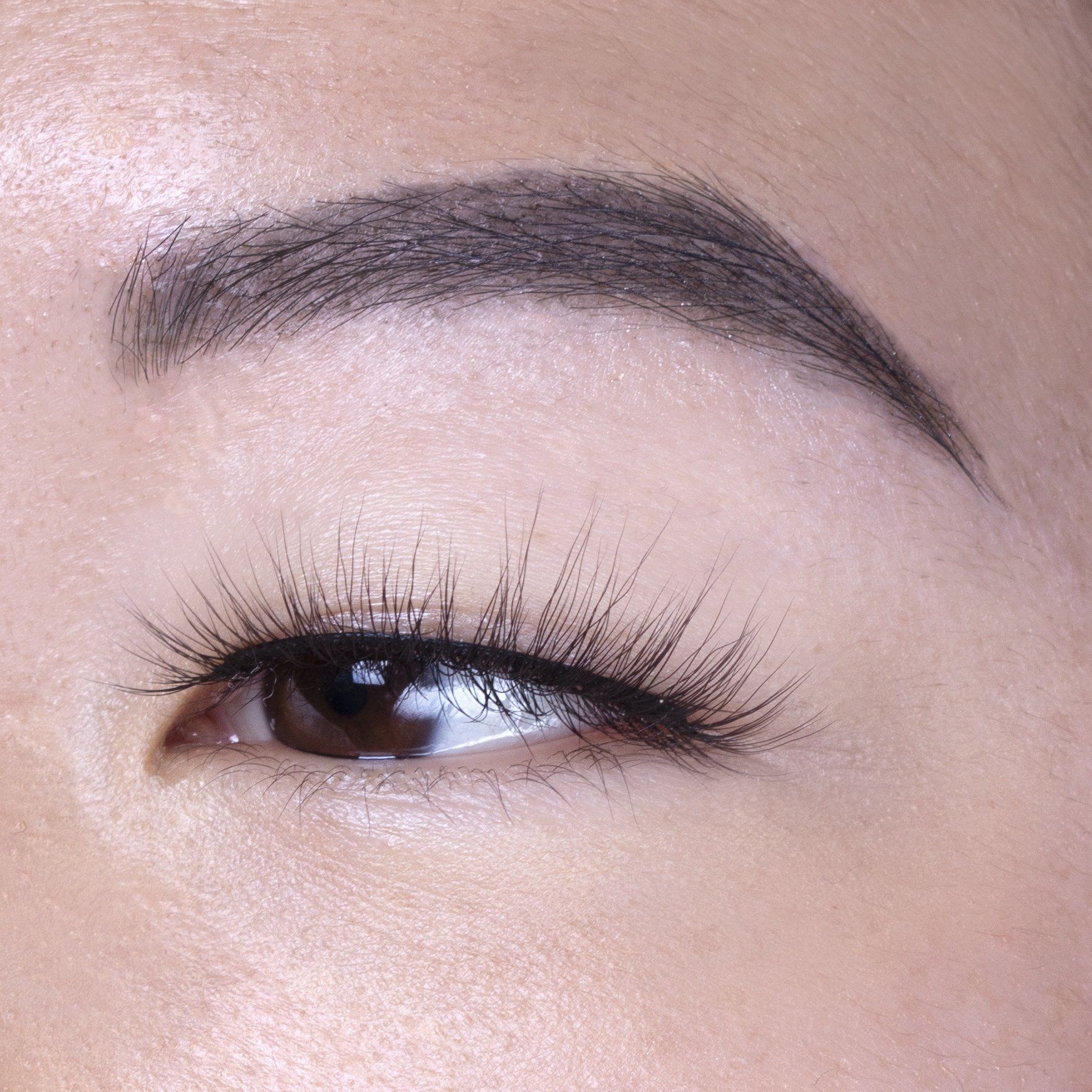 5D Lash Filter Umelé mihalnice Umelé mihalnice