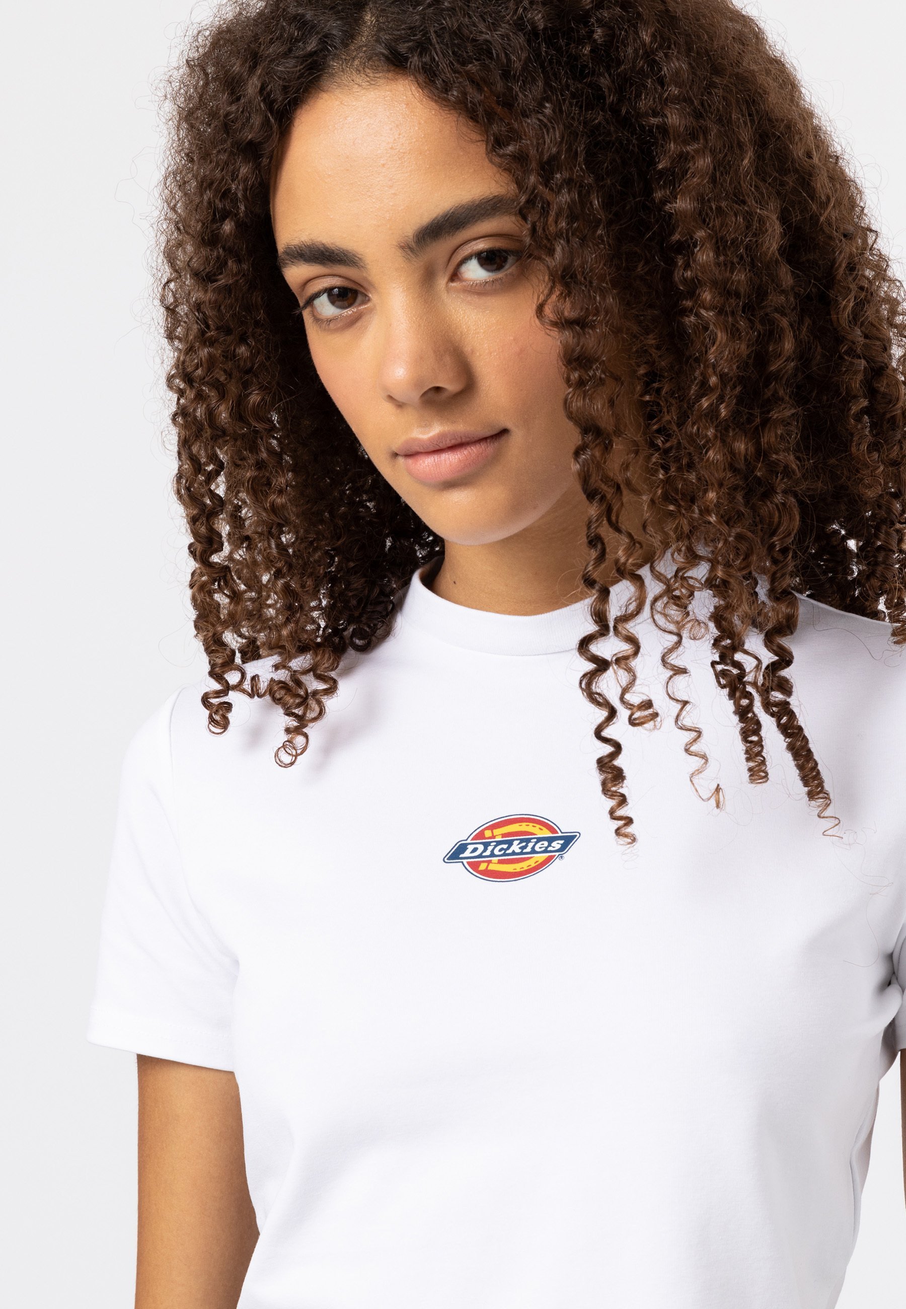 Magliette Dickies