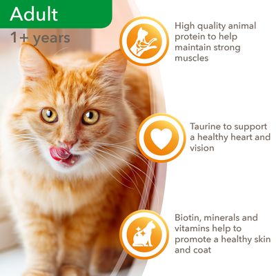 IAMS Delights Adult – Land & Sea Kollektion