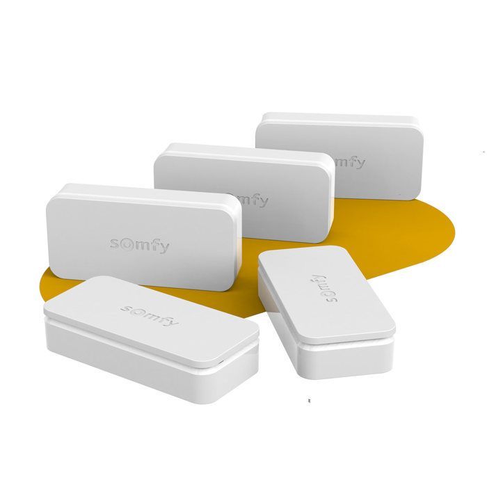 SOMFY 2401488 - Confezione da 5 IntelliTAG - Rilevatori di vibrazioni autoprotetti per uso interno o esterno - Rilevamento frontale