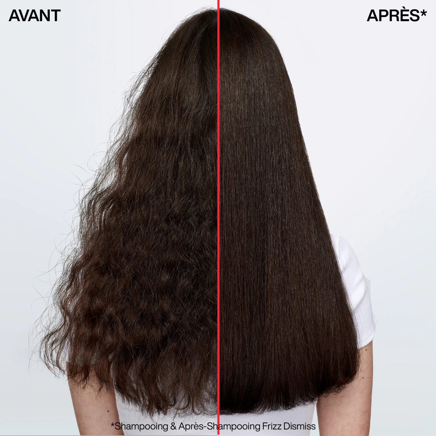 Redken Frizz Dismiss