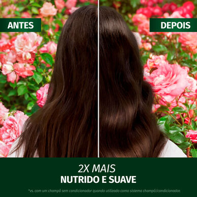 Herbal Essences Simító Sampon Rózsaillattal, Revitalizáló Sampon Száraz Hajra, 350 ml