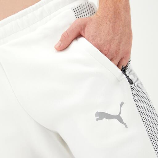  Puma Evo