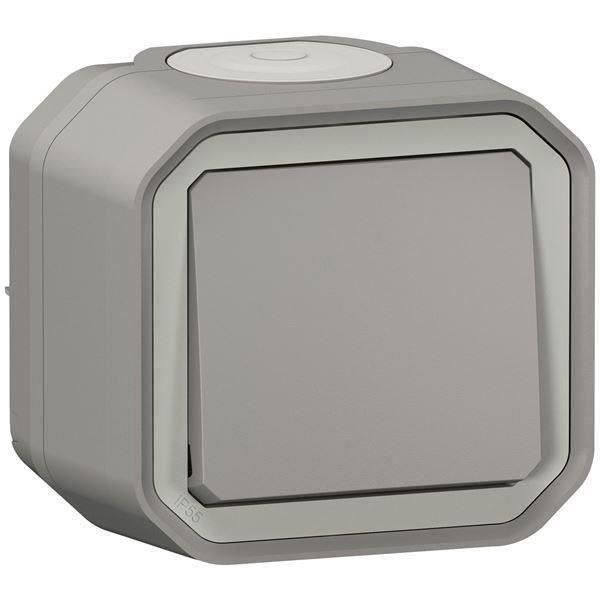 LEGRAND Plexo Wasserdichter Schalter oder Wechselschalter - 10 A - Grau