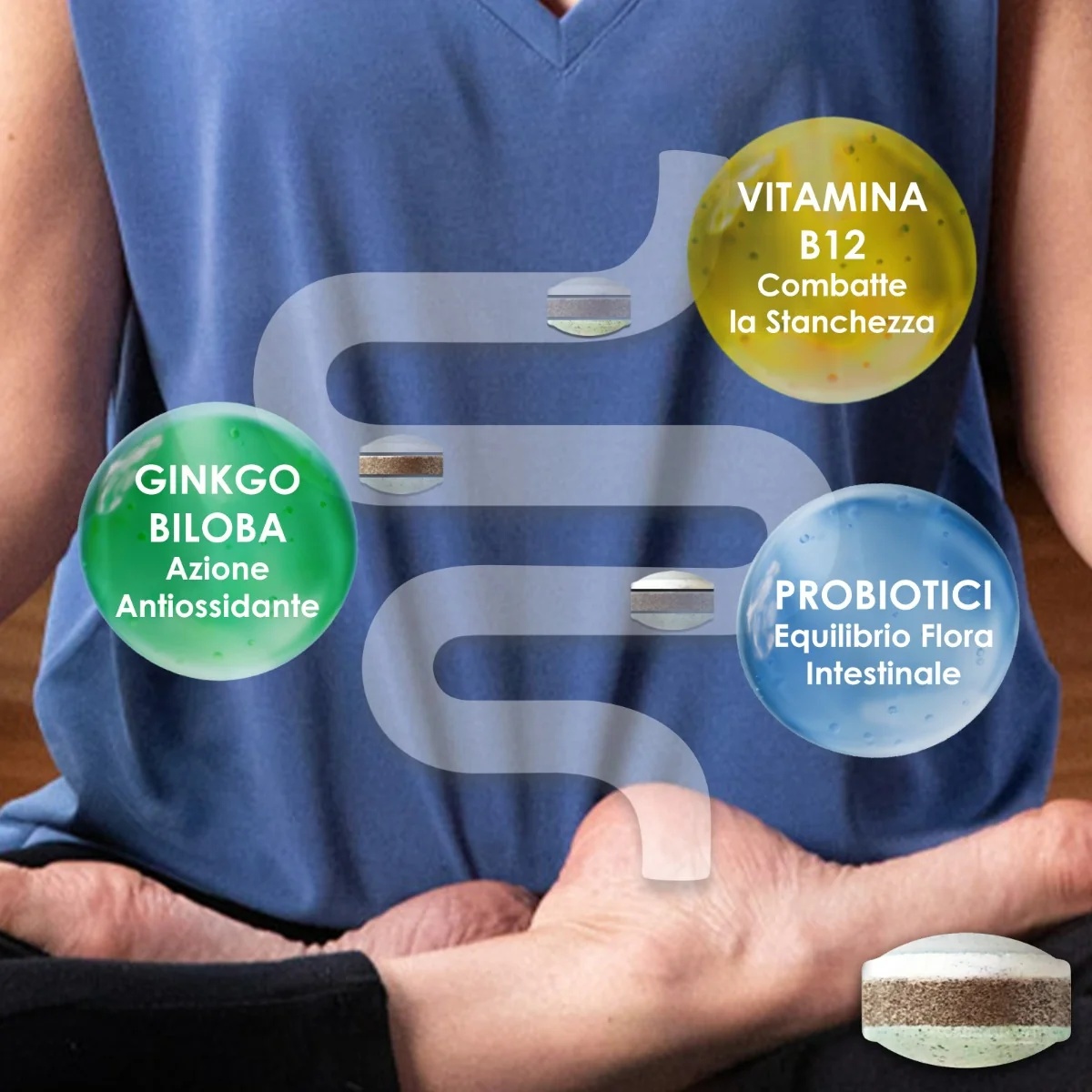 ENTEROGERMINA Enterogermina Âge Actif 28 comprimés Pour l'équilibre de la flore intestinale