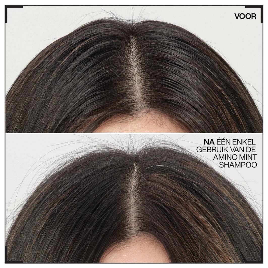 Šampón Redken Scalp Relief Amino Mint - 300 ml