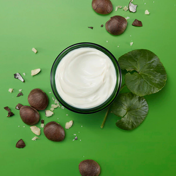Weleda Skin Food -yövoide - 40 ml