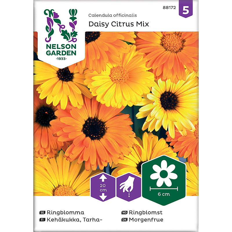 Nelson-puutarhan siemenet Marigold Daisy Citrus mix