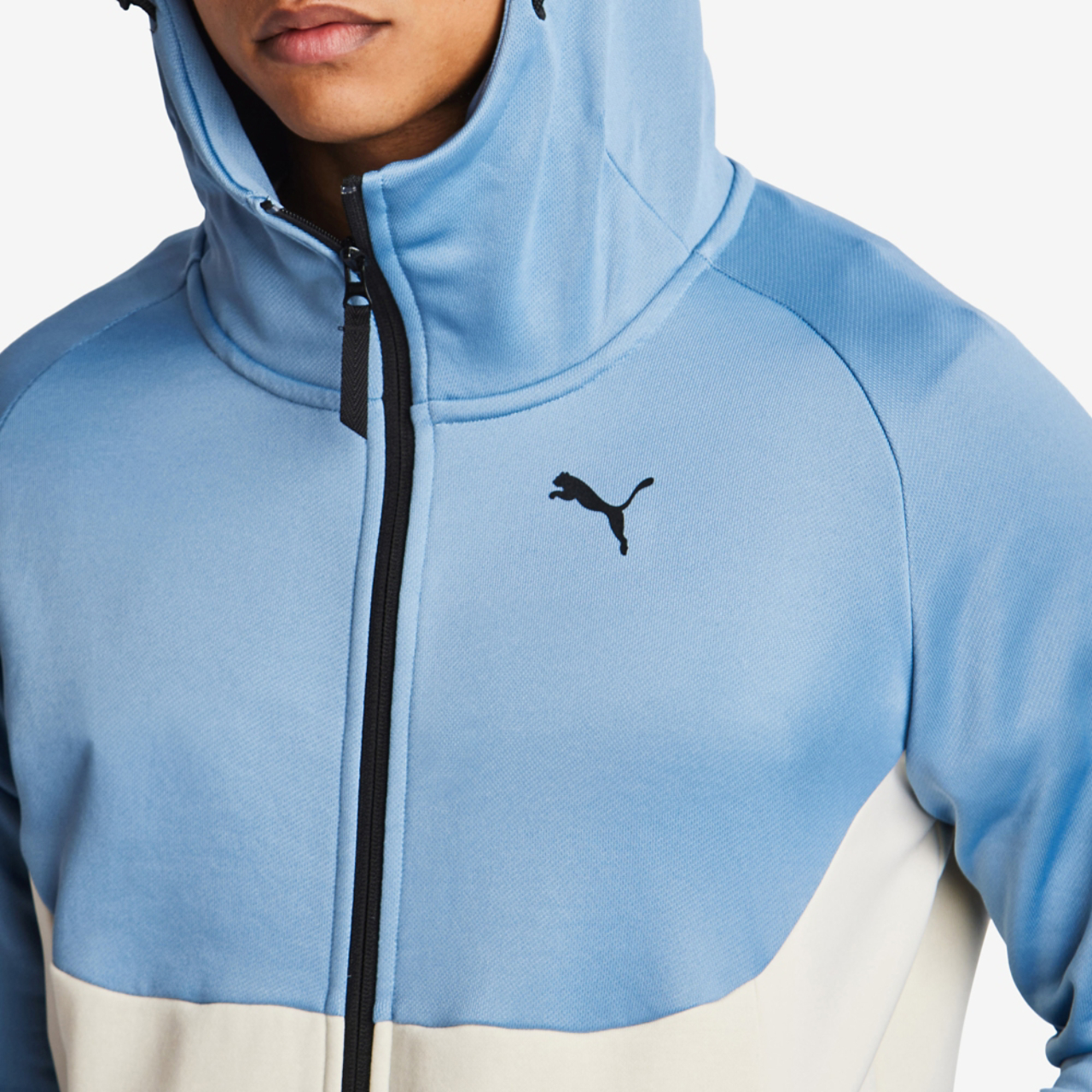 Puma Pumatech