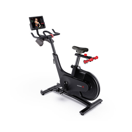  Yesoul Professional V1 Motionscykel