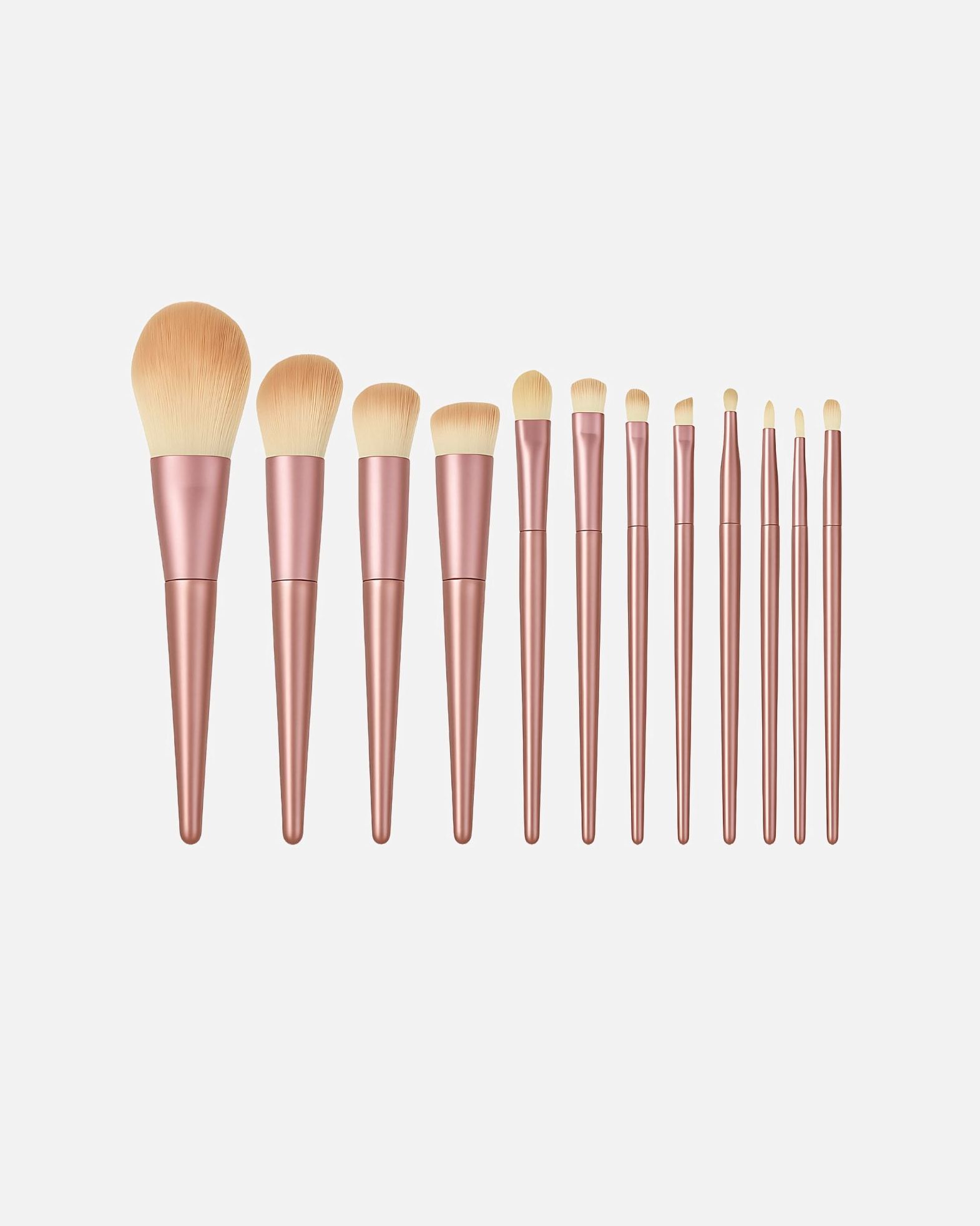 Technique Pro Brush Set Сет четкица за шминку Radiance - ружа