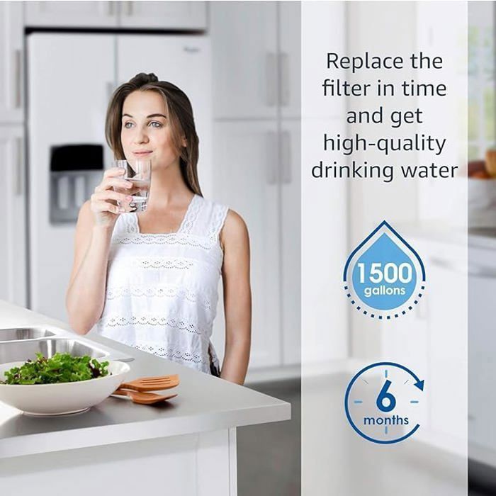 Waterdrop DA29-10105J Ersatzwasserfilter für Samsung (4er-Packung)