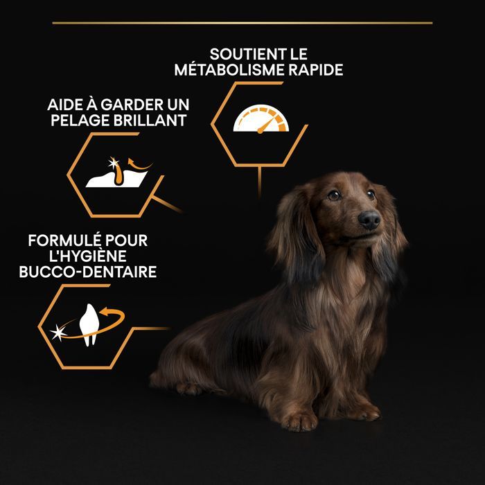 PRO PLAN Small & Mini Adult Everyday Nutrition Riche en Poulet - 14KG - Croquettes pour petits chiens adultes