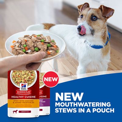 Hill's Science Plan Canine Adult Healthy Cuisine z kurczakiem