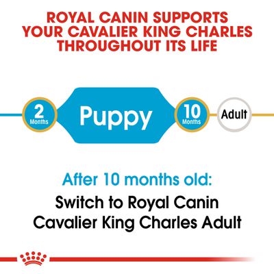 Royal Canin Cavalier King Charles Puppy