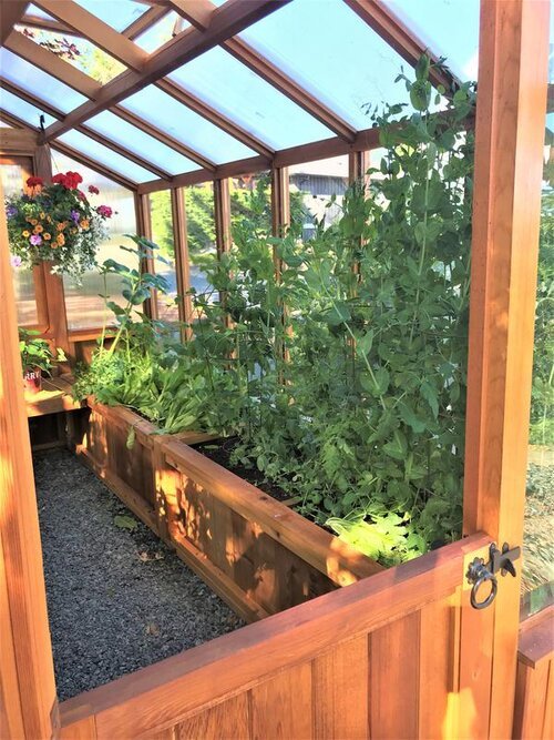 Meridian kas van Western Red Cedar, 2,4 x 3,7 meter