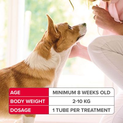 beaphar FIPROtec® COMBO Floh- und Zeckenmittel Spot-On für Hunde - S (2-10 kg)