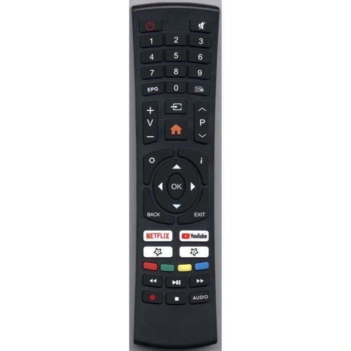 Telecommande de Remplacement compatible avec Oceanic OCEALED40S20B6