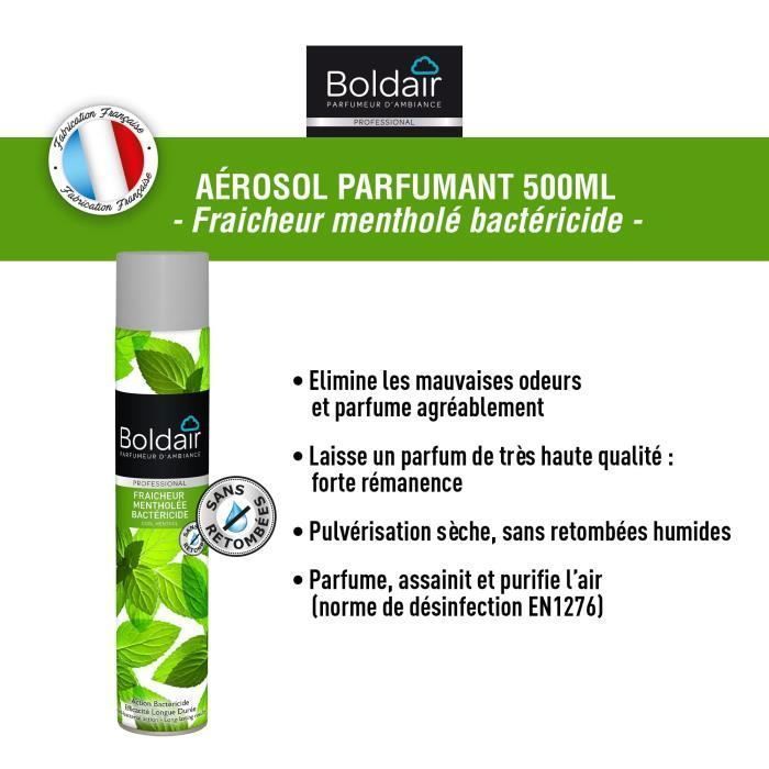 Desodorizador de Ambientes Bactericida - Frescor Mentolado - 500 mL