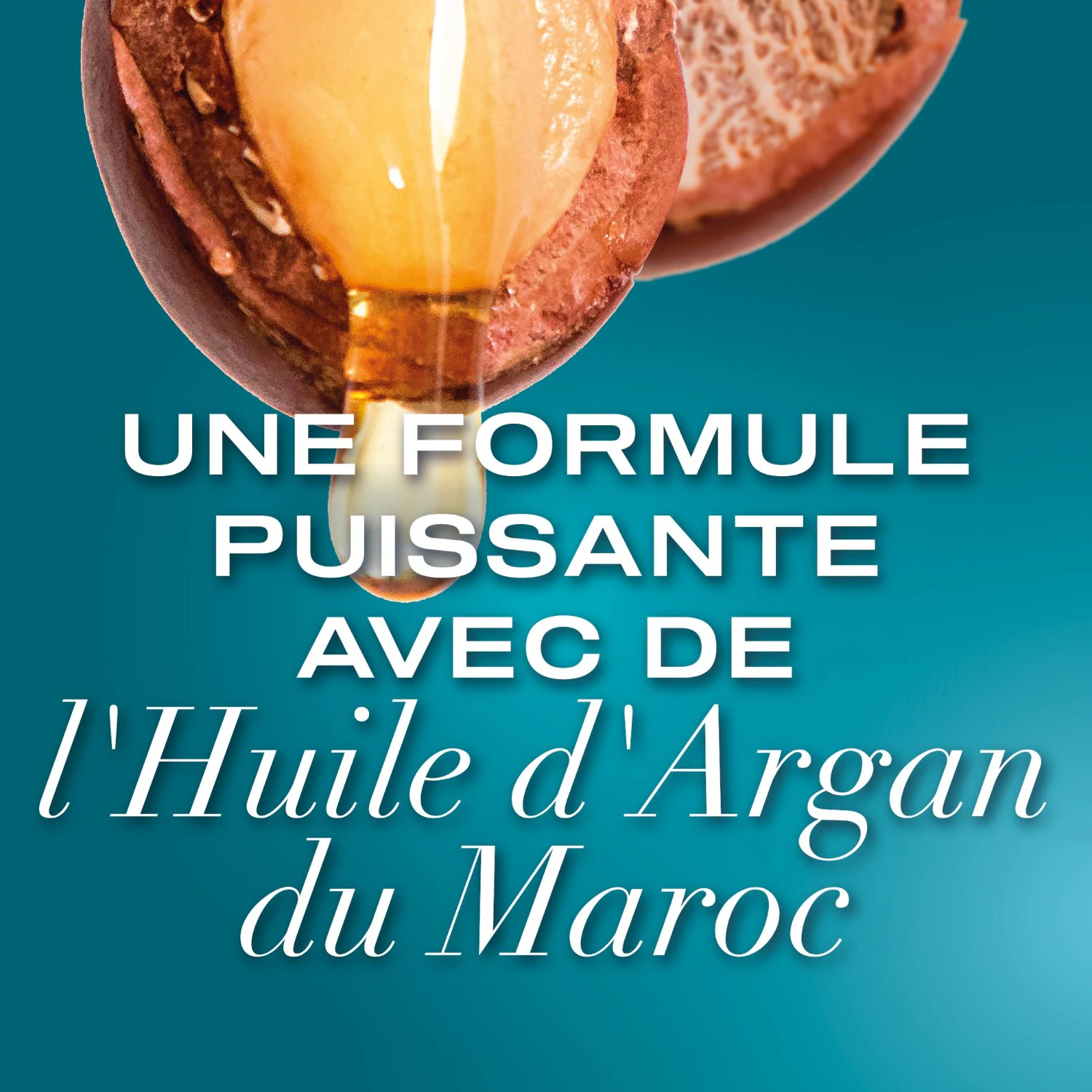 Ogx Argan Oil Of Morocco Shampoo