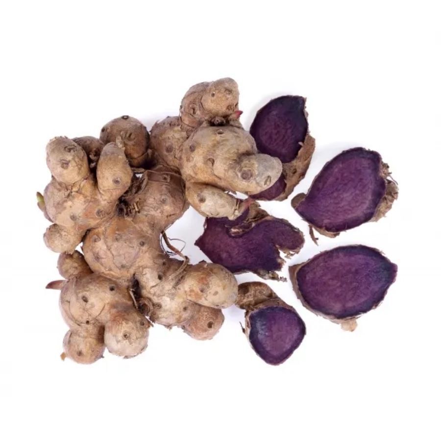 Kenay Black Ginger Sirtmax