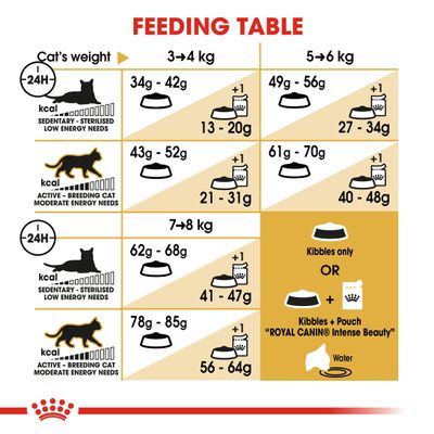 Royal Canin Ragdoll Ενηλίκων