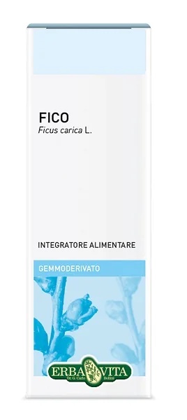 ERBA VITA Smokva Gemmoderivative 50 ml