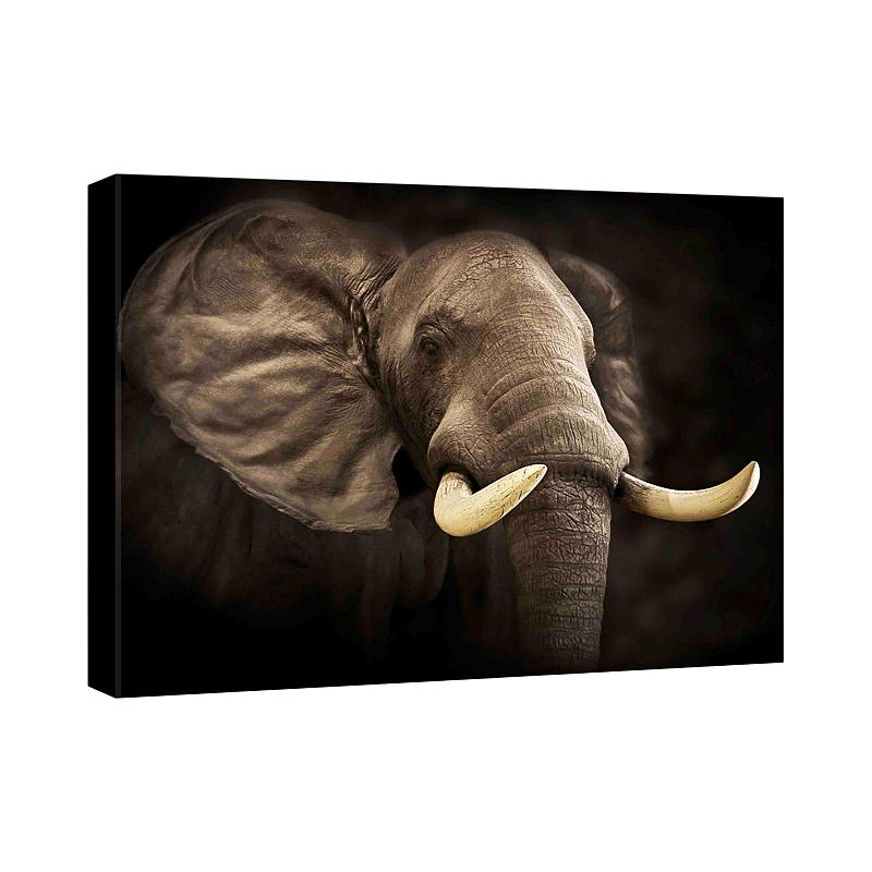 Canvastavla 70x100 cm