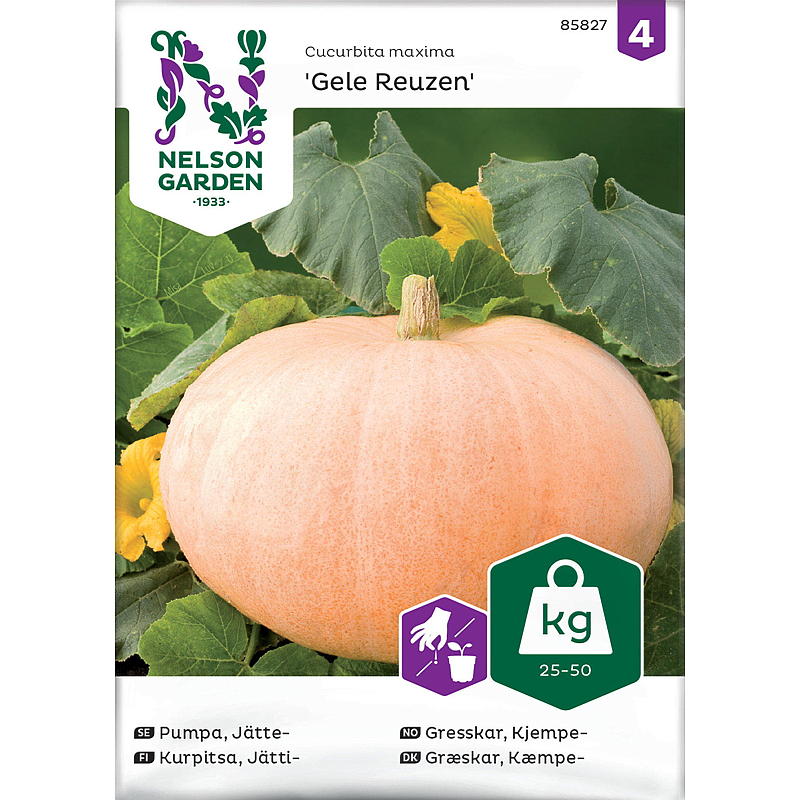 Nelson trädgård Seeds Pumpkin Giant, Gele Reuzen