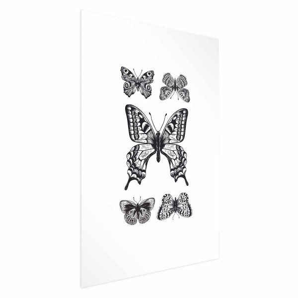Plakat Pięć motyli 21x30 cm