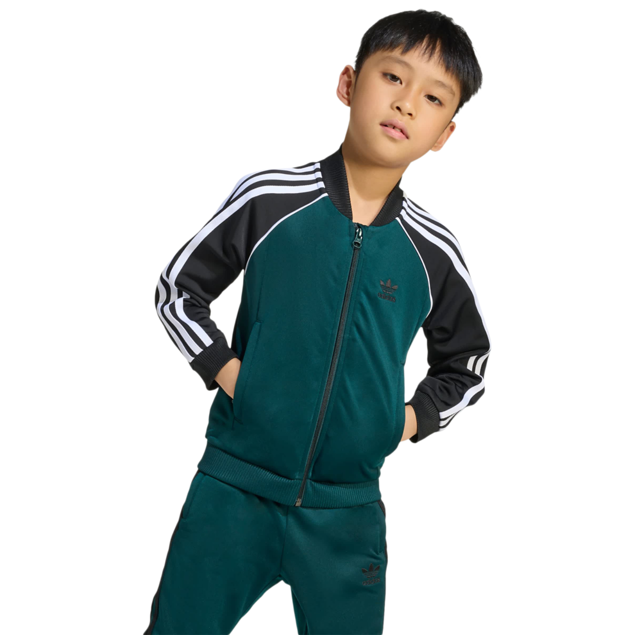 adidas Adicolor SST træningsdragt
