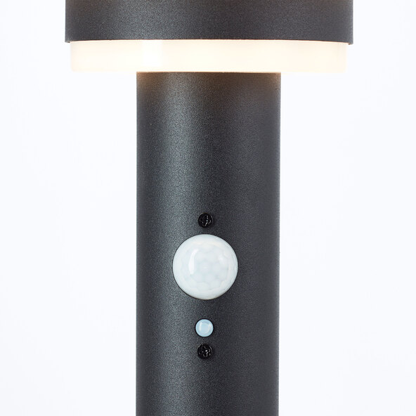 LED-Solar-Wegeleuchte Garvina mit Bewegungsmelder, 45 cm