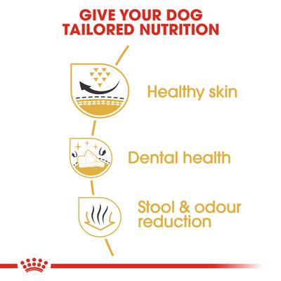 Royal Canin Shih Tzu voor volwassenen