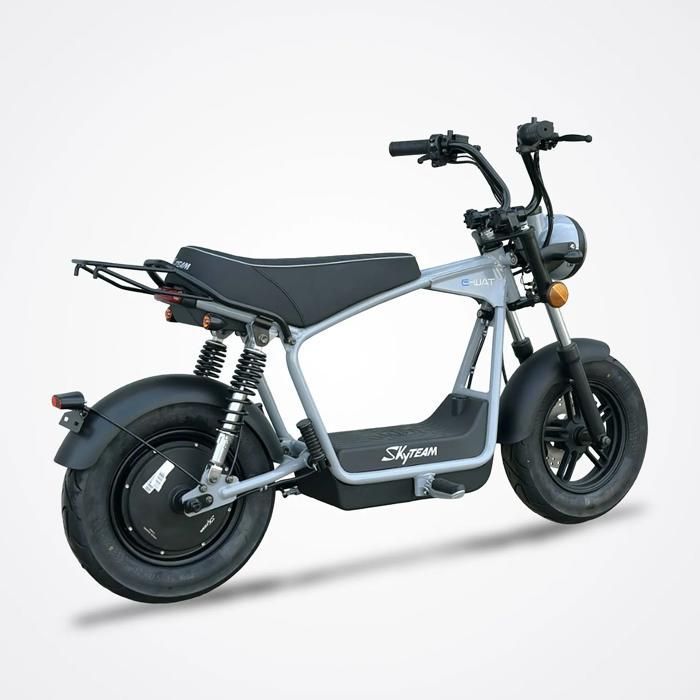 SKYTEAM DAX E-WAT 1200W Electric Motorcycle / Grey
