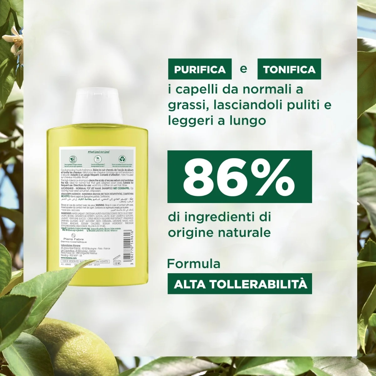 KLORANE Ceder Shampoo 200 ml reinigt en revitaliseert.