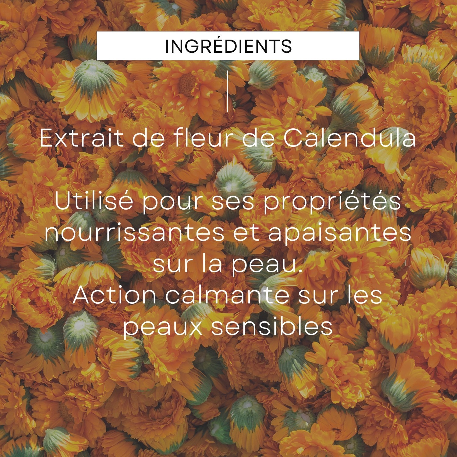 Weleda Baume pour mamelons - 25 ml