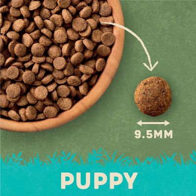 Harringtons Komplettes Welpenfutter – reich an Pute und Reis