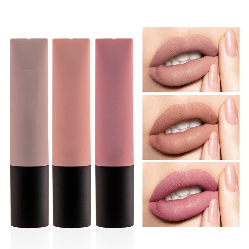 12 Couleurs Gloss à Lèvres Mat Velours Effet Miroir Effet Eau Maquillage des Lèvres Rouge à Lèvres Nacré Longue Tenue TSLM1