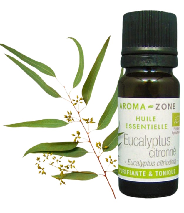 Ätherisches Bio-Zitroneneukalyptusöl 10 ml