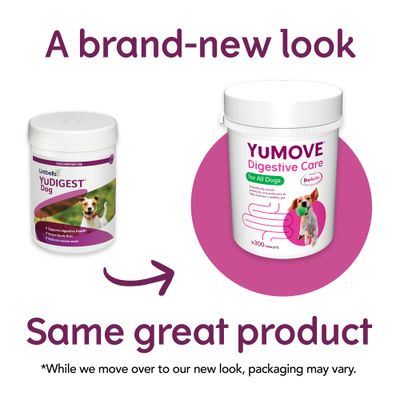 YuMOVE Digestive Care dla wszystkich psów