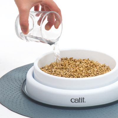Jardinieră Catit Senses 2.0 pentru iarbă
