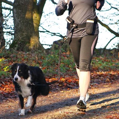 Smycz dla psa Trixie Hands Free Belt