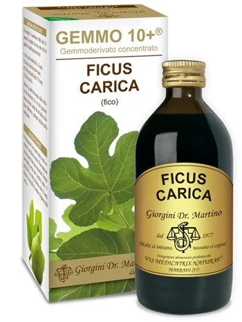 DR. GIORGINI Fico 200 ml Liq Analco Gemmo10+ Prikladno za vegane