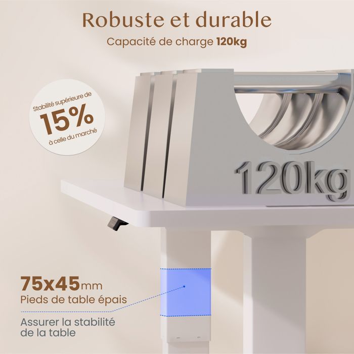 FlexiSpot QB2 zit-sta bureau 160 x 70 cm met 2 krachtige motoren, in hoogte verstelbaar, met geheugenfunctie (wit + wit)