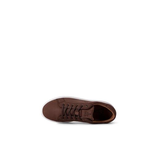 Dakar Pisco Ar Sneakers