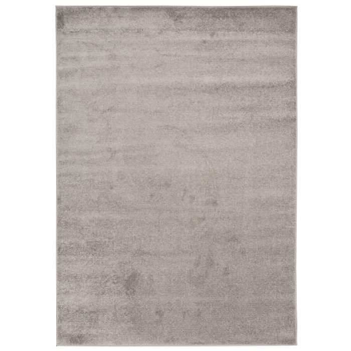 TAPISO Tapis Salon Poil Court FLORIDA Gris Foncé Monochrome Polypropylène Intérieur 240x330